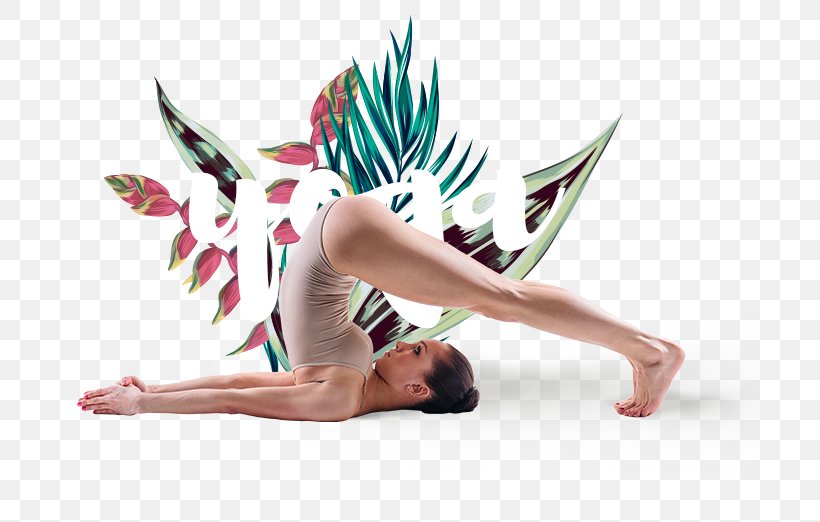 Ashtanga Vinyasa Yoga Hot Yoga Hormon-Yoga Bend And Fly, PNG, 700x522px, Yoga, Antigravity Yoga, Ashtanga Vinyasa Yoga, Dancer, Fictional Character Download Free
