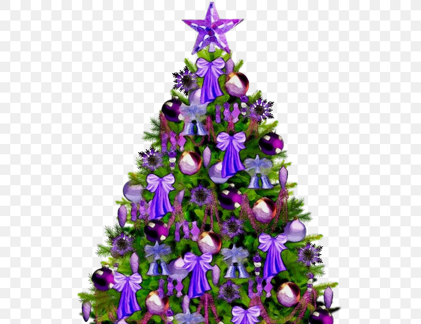 Christmas Tree, PNG, 520x630px, Watercolor, Bellflower Family, Bellflowers, Biology, Christmas Day Download Free