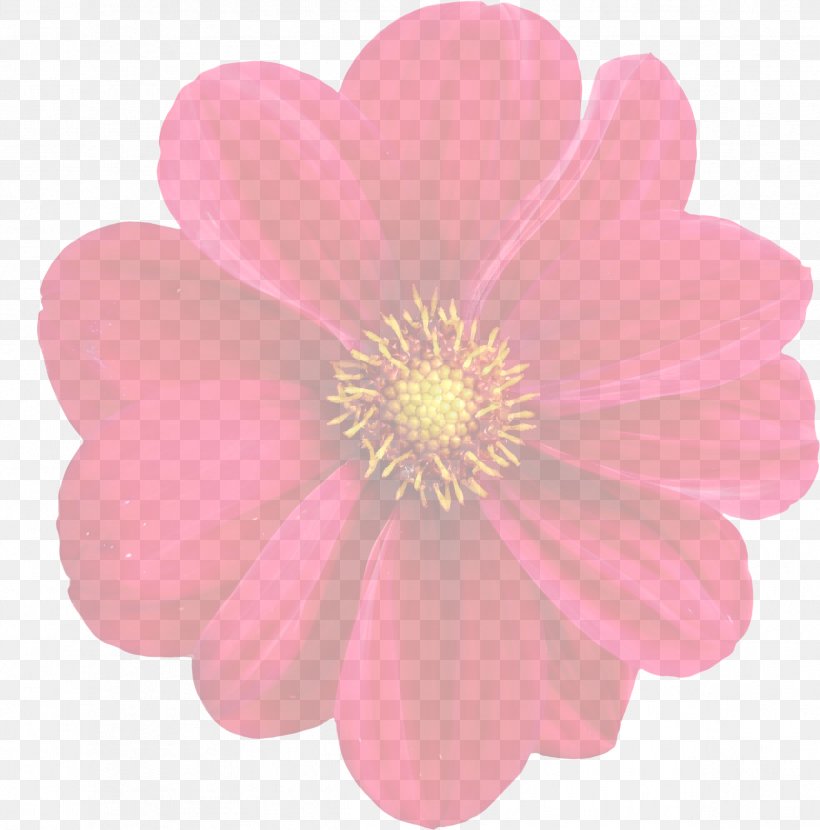 Dahlia Flower Plant Clip Art, PNG, 2393x2423px, Dahlia, Bing, Blossom, Daisy Family, Flower Download Free