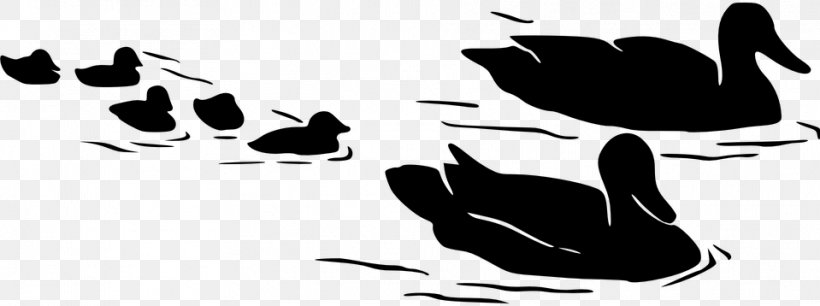 Duck Bird Water Bird Ducks, Geese And Swans Black-and-white, PNG, 959x358px, Duck, Beak, Bird, Blackandwhite, Ducks Geese And Swans Download Free