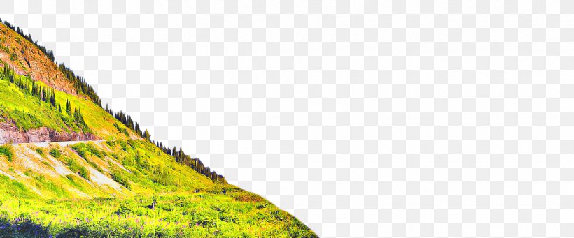 Green Grass Background, PNG, 1426x594px, Leaf, Closeup, Grass, Grasses, Grassland Download Free