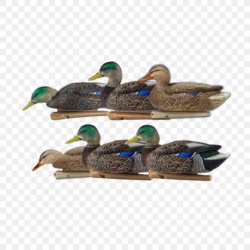 Mallard Duck Flight Decoy Waterfowl Hunting, PNG, 1985x1985px, Mallard, Beak, Bird, Decoy, Duck Download Free