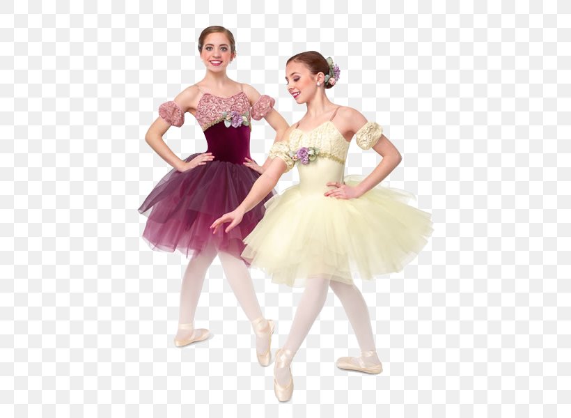 Romantic Ballet Tutu Ballet Dancer, PNG, 480x600px, Watercolor, Cartoon, Flower, Frame, Heart Download Free