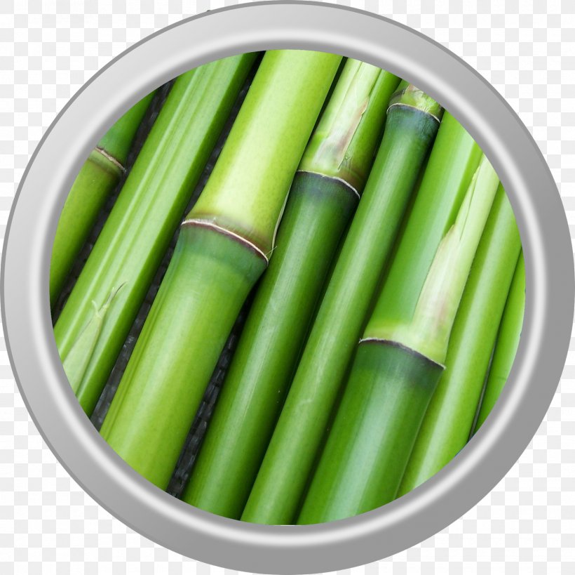 Bamboo Image Plants Stock.xchng Photograph, PNG, 1600x1600px, Bamboo, Bamboo Floor, Grass, Herb, Information Download Free