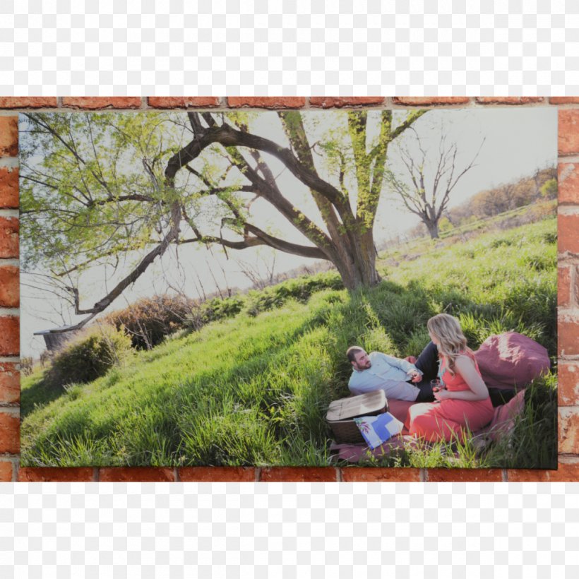 Canvas Print CBSE Exam, Class 10 · 2018 Painting Picnic, PNG, 1200x1200px, Canvas Print, Art, Aspect Ratio, Branch, Canvas Download Free