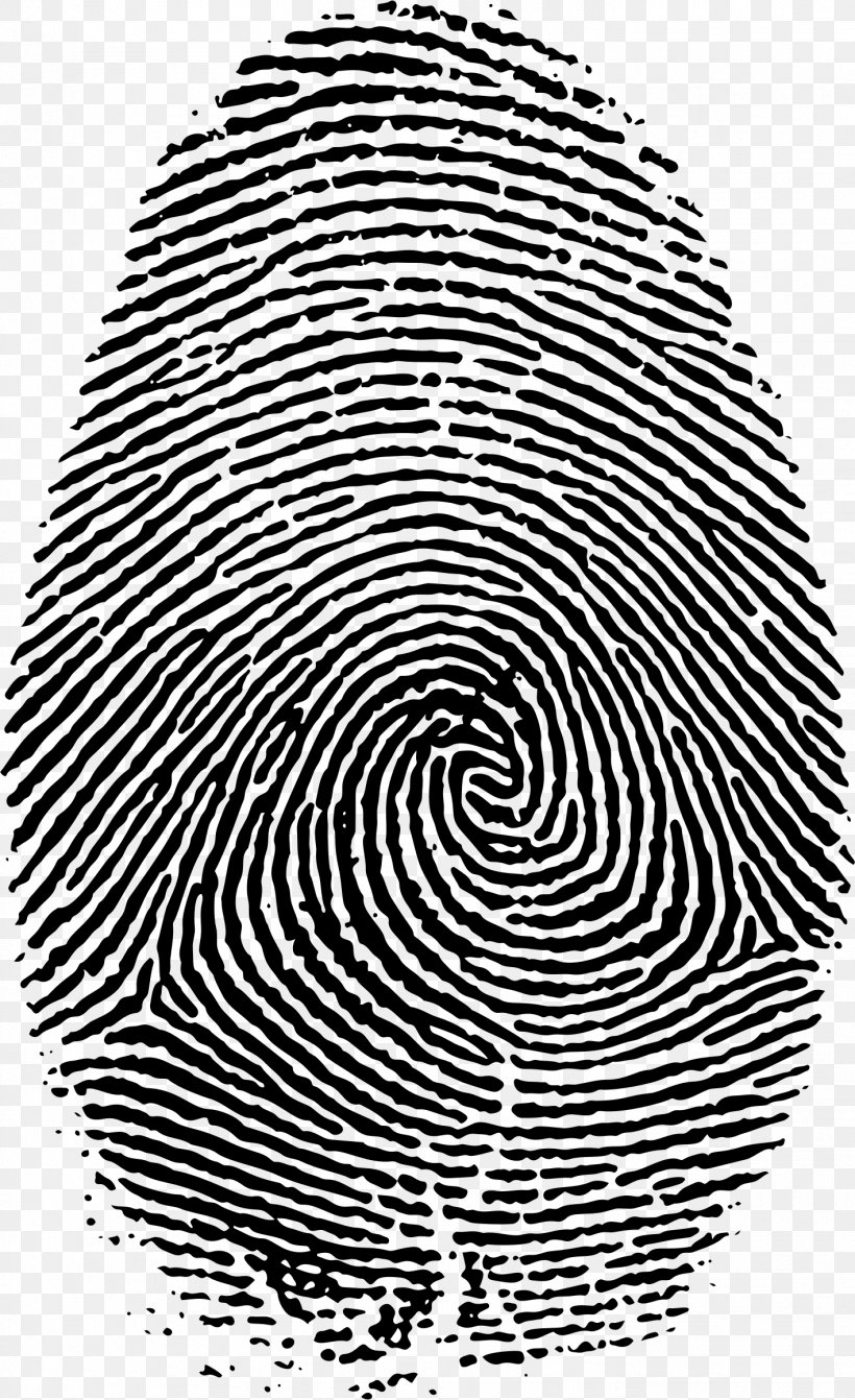 Fingerprint Live Scan, PNG, 1418x2322px, Fingerprint, Black, Black And White, Device Fingerprint, Finger Download Free