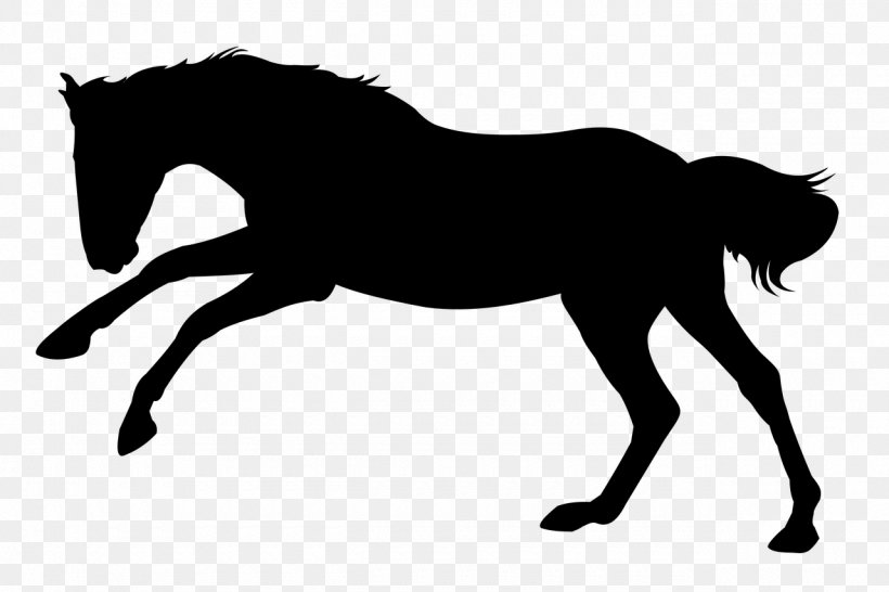 Hair Cartoon, PNG, 1280x853px, Horse, Animal Figure, Animation, Black, Blackandwhite Download Free