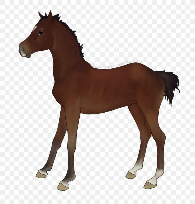 Mustang Foal Mare Stallion Pony, PNG, 1000x1048px, Mustang, Animal Figure, Bit, Bridle, Colt Download Free
