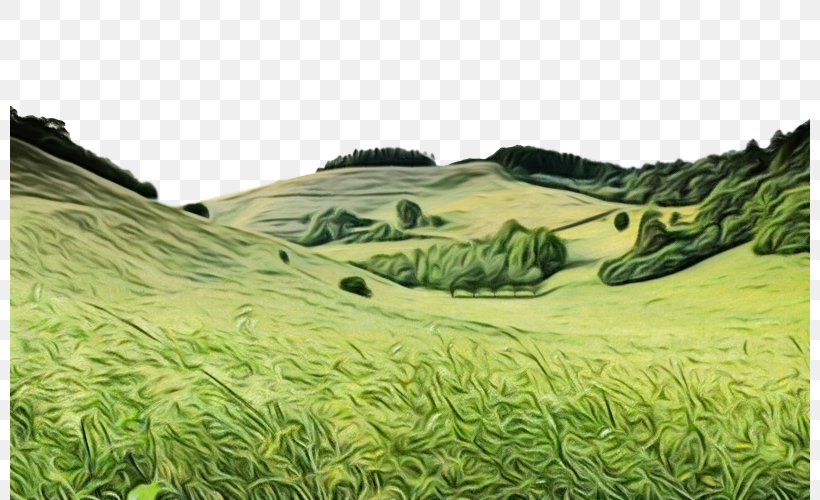 Nature Natural Landscape Grassland Vegetation Grass, PNG, 800x500px, Watercolor, Field, Grass, Grass Family, Grassland Download Free