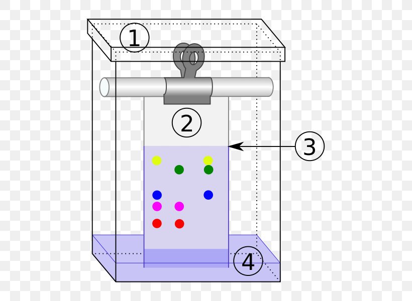 Paper Chromatography Thin-layer Chromatography Analytical Chemistry, PNG, 548x600px, Paper Chromatography, Analytical Chemistry, Area, Chemical Substance, Chromatography Download Free