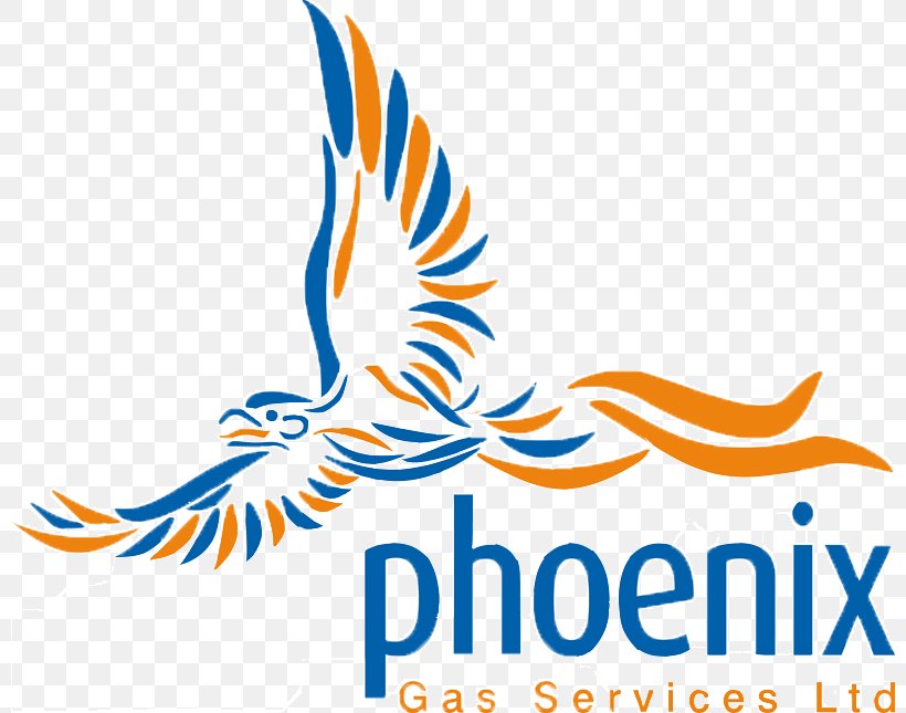Phoenix Gas Services Limited Company Boiler Chevron Corporation, PNG, 800x645px, Company, Area, Artwork, Beak, Boiler Download Free