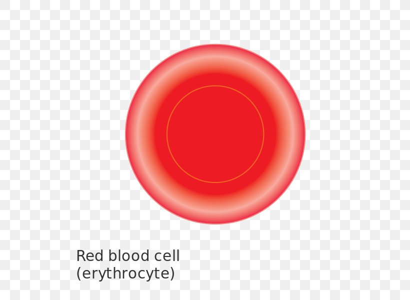 Red Blood Cell, PNG, 596x600px, Red, Blood, Blood Cell, Cancer Research Uk, Cell Download Free