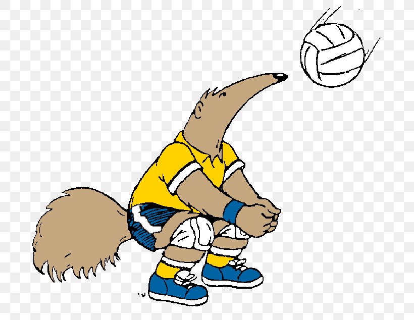 University Of California, Irvine UC Irvine Anteaters Men's Basketball Volleyball Clip Art, PNG, 751x634px, University Of California Irvine, Anteater, Area, Artwork, Beak Download Free