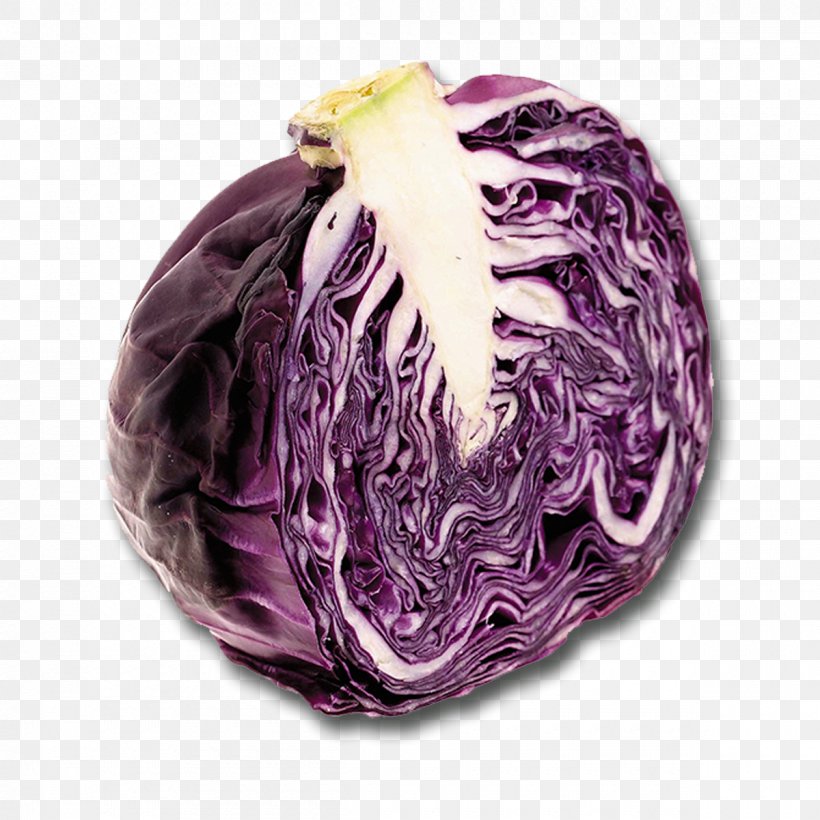 Vegetable Red Cabbage Cocido Recipe, PNG, 1200x1200px, Vegetable, Bitter Melon, Bitterness, Bitters, Brassica Oleracea Download Free
