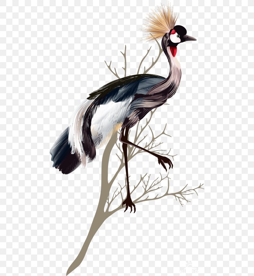 Crane Bird Feather, PNG, 500x889px, Crane, Asiatic Peafowl, Beak, Bird, Crane Like Bird Download Free