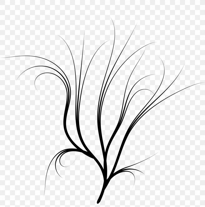 Twig White Grasses Leaf Clip Art, PNG, 2000x2019px, Twig, Artwork, Black, Black And White, Branch Download Free