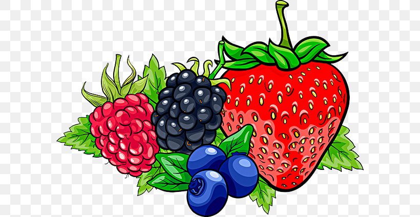 Frutti Di Bosco Cartoon Illustration, PNG, 600x424px, Berry, Animation, Blackberry, Blueberry, Cartoon Download Free