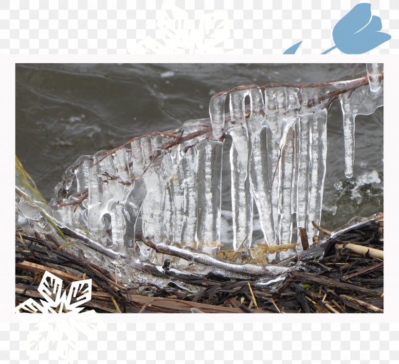 Icicle Wood /m/083vt, PNG, 1600x1461px, Icicle, Glass, Ice, Water, Wood Download Free