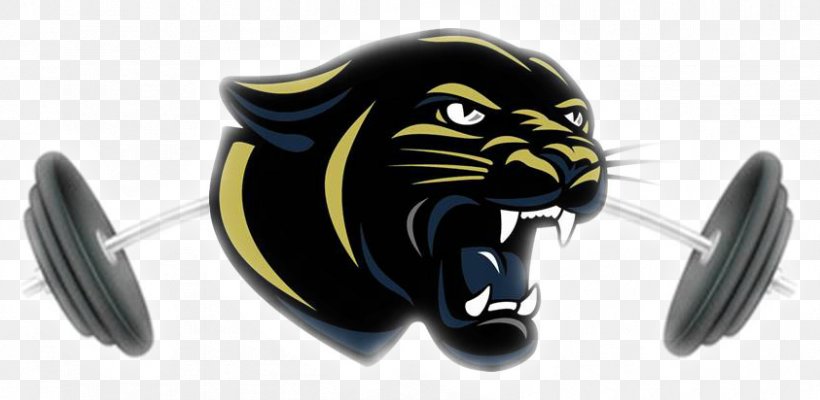 Cat Product Design Black Panther Brainerd High School, PNG, 843x412px, Cat, Big Cat, Big Cats, Black Panther, Brainerd High School Download Free
