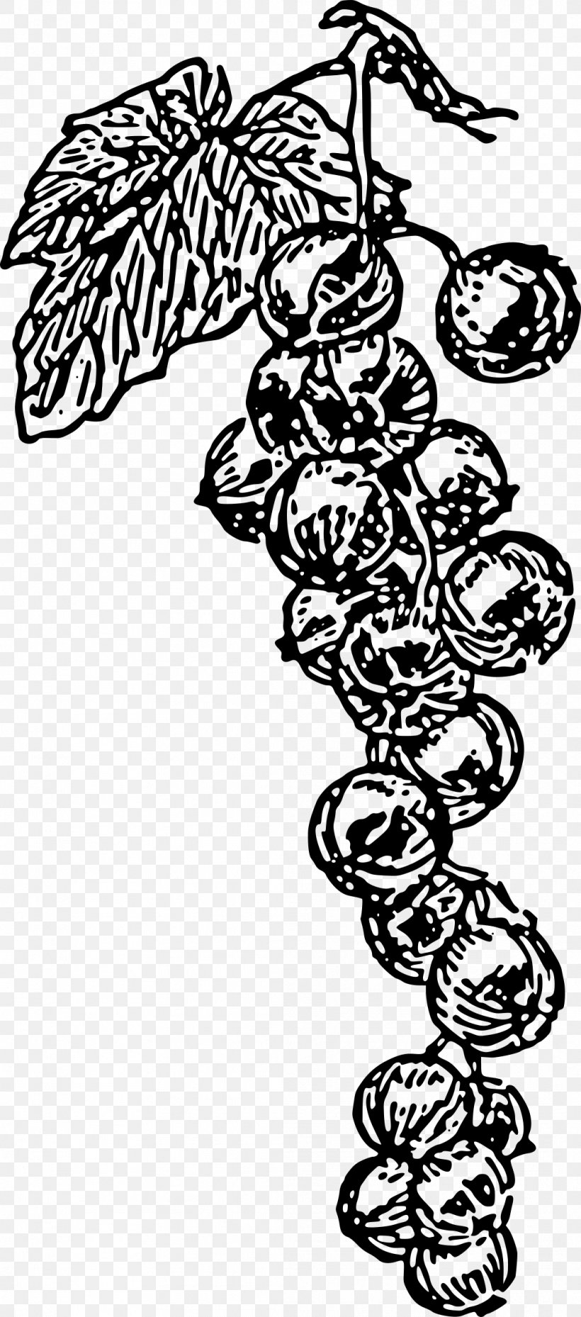 Common Grape Vine Zante Currant Clip Art, PNG, 1059x2400px, Common Grape Vine, Art, Black And White, Branch, Drawing Download Free