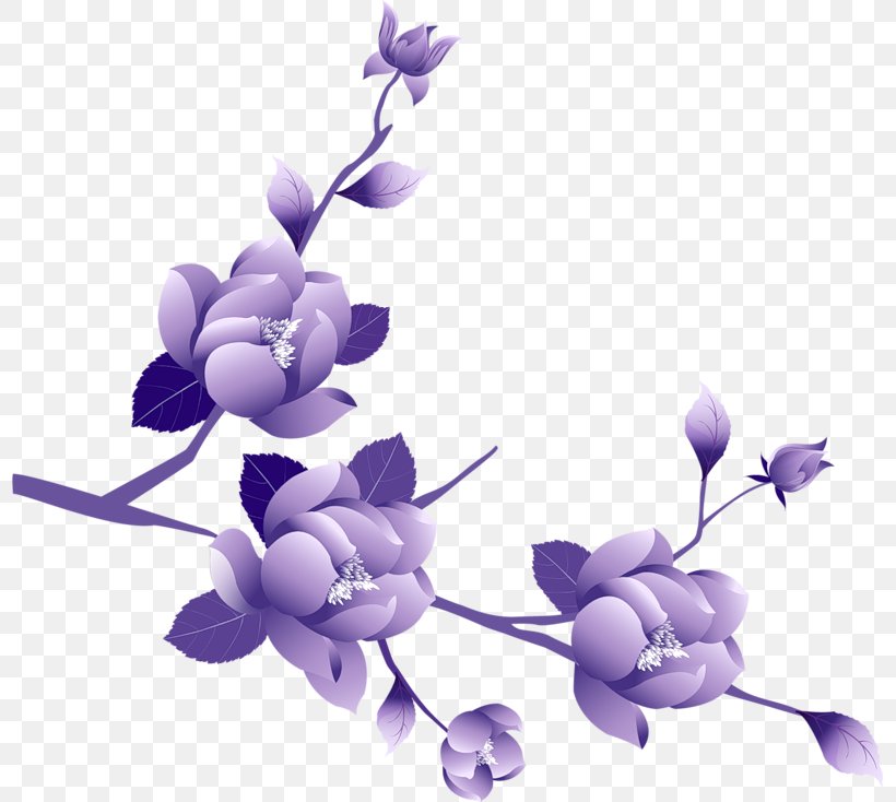 Purple Flower Rose Clip Art, PNG, 800x734px, Purple, Blossom, Branch, Color, Cut Flowers Download Free