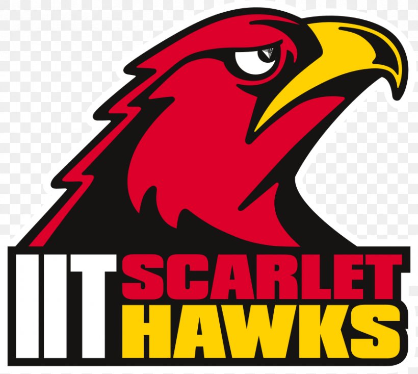 Illinois Institute Of Technology Chicago-Kent College Of Law Milwaukee School Of Engineering Illinois Tech Scarlet Hawks Men's Basketball Student, PNG, 858x768px, Illinois Institute Of Technology, Area, Artwork, Beak, Bird Download Free