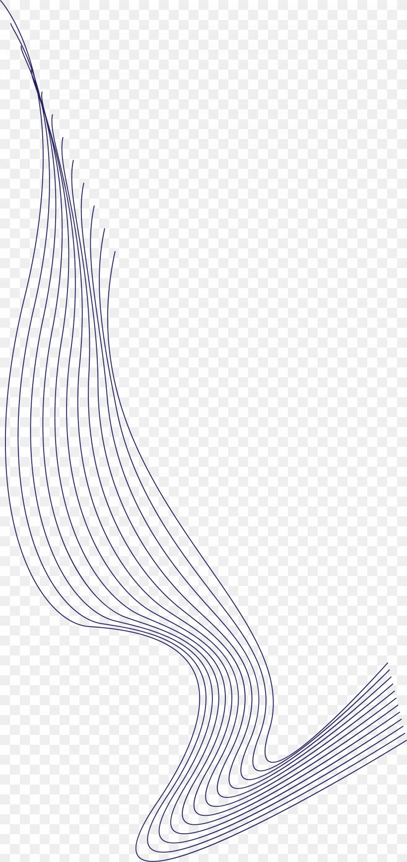 Line Curve Software, PNG, 2132x4516px, Curve, Area, Artworks, Black And White, Computer Graphics Download Free