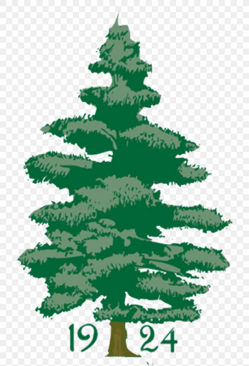 Penobscot Valley Country Club Golf Course Christmas Tree, PNG, 1500x2205px, Golf Course, Branch, Christmas, Christmas Decoration, Christmas Ornament Download Free