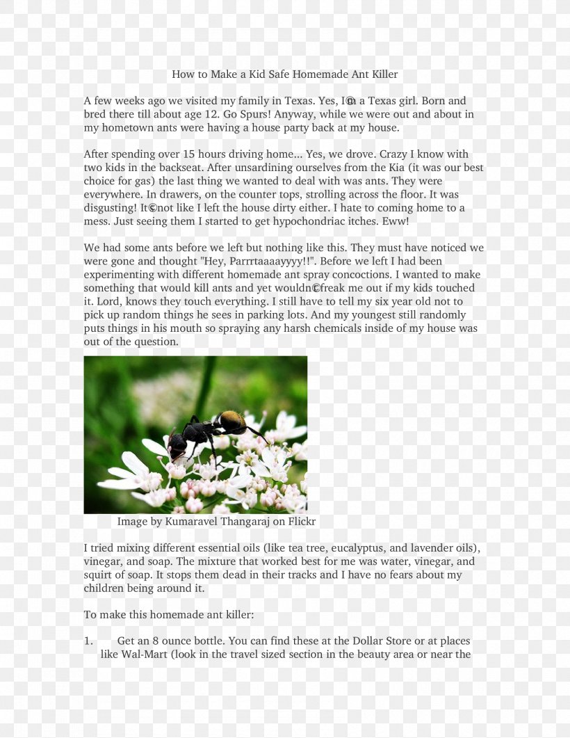Plant Brochure Feudalism Dream Font, PNG, 1700x2200px, Plant, Brochure, Dream, Feudalism, Flora Download Free