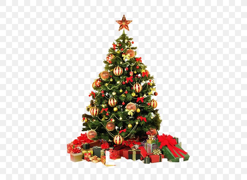 Christmas Tree Christmas Card Greeting Card, PNG, 600x600px, Santa Claus, Candle, Christmas, Christmas Decoration, Christmas Lights Download Free