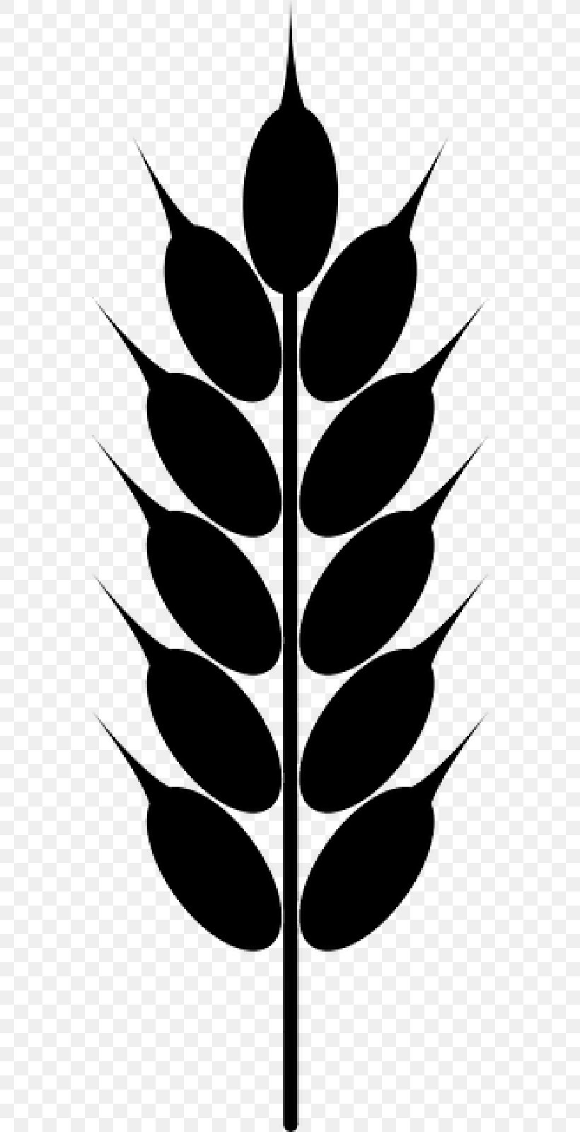 Clip Art Cereal Vector Graphics Wheat Grain, PNG, 800x1600px, Cereal, Agriculture, Blackandwhite, Botany, Corn Download Free