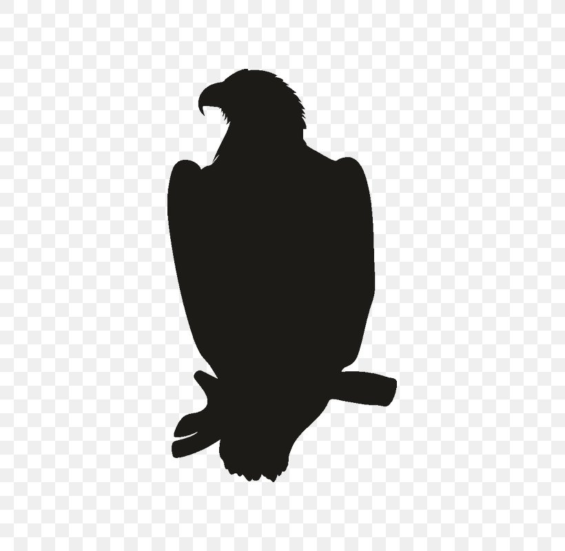 Eagle Logo, PNG, 800x800px, Eagle, Accipitridae, Bald Eagle, Beak, Bird Download Free