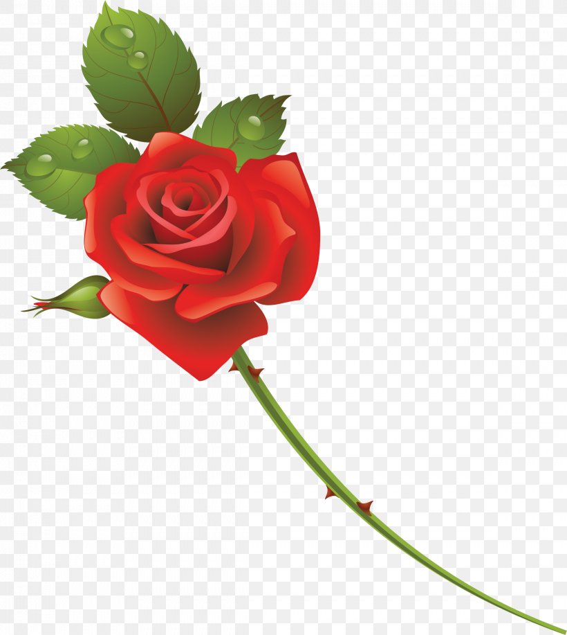 Garden Roses Cut Flowers, PNG, 2337x2616px, Garden Roses, Cut Flowers, Flora, Floral Design, Floristry Download Free