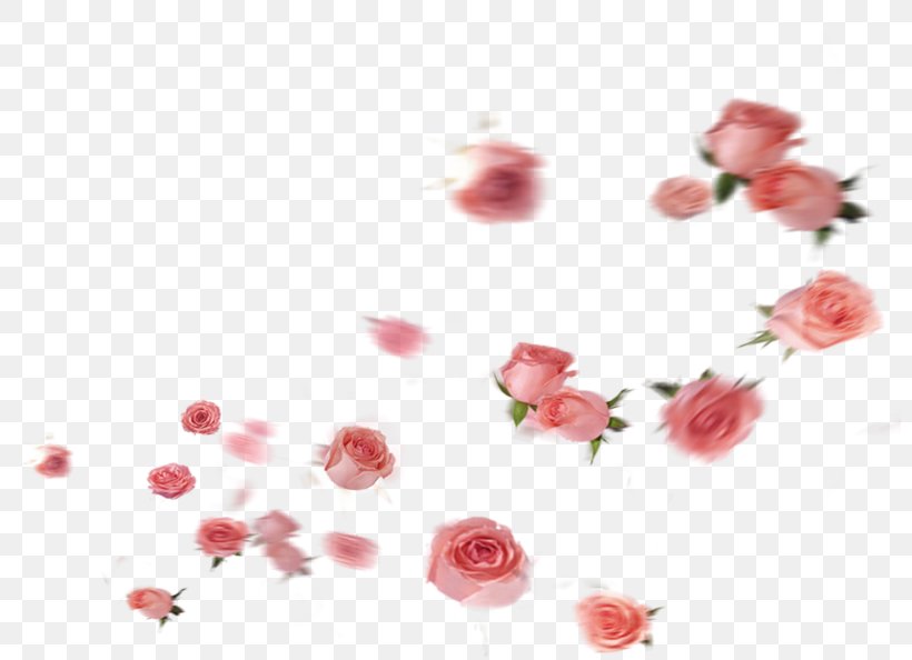 Garden Roses Petal Flower, PNG, 800x594px, Garden Roses, Artificial Flower, Blossom, Digital Image, Floral Design Download Free