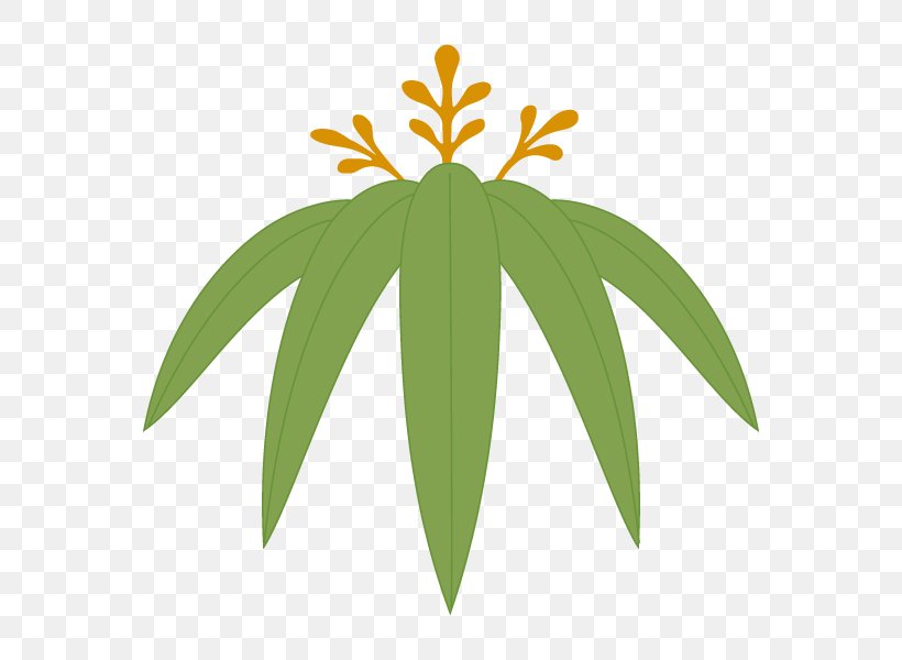 Illustration Leaf Graphics Plants Design, PNG, 600x600px, Leaf, Dragon, Flower, Flowering Plant, Palm Tree Download Free