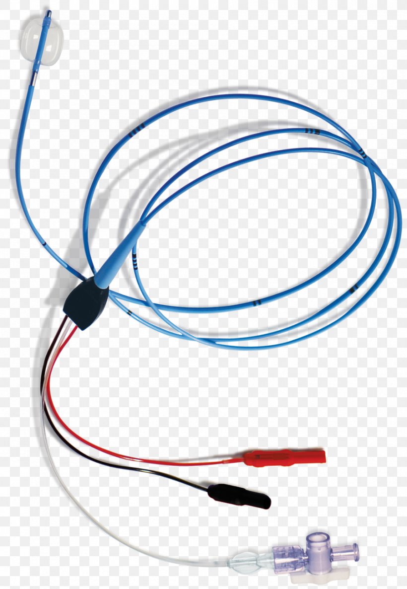 Network Cables Wire, PNG, 900x1302px, Network Cables, Bipolar Disorder, Blue, Cable, Computer Network Download Free
