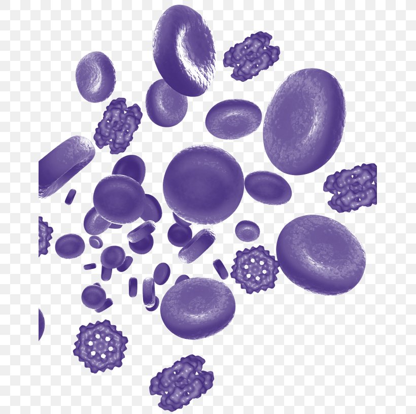Product Design Organism Purple, PNG, 667x816px, Organism, Blood, Lilac, Purple, Violet Download Free