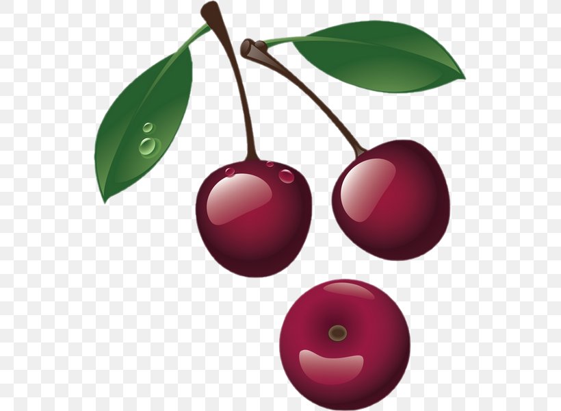 Sweet Cherry Cerasus Berry Clip Art, PNG, 545x600px, Cherry, Berry, Cerasus, Food, Fruit Download Free
