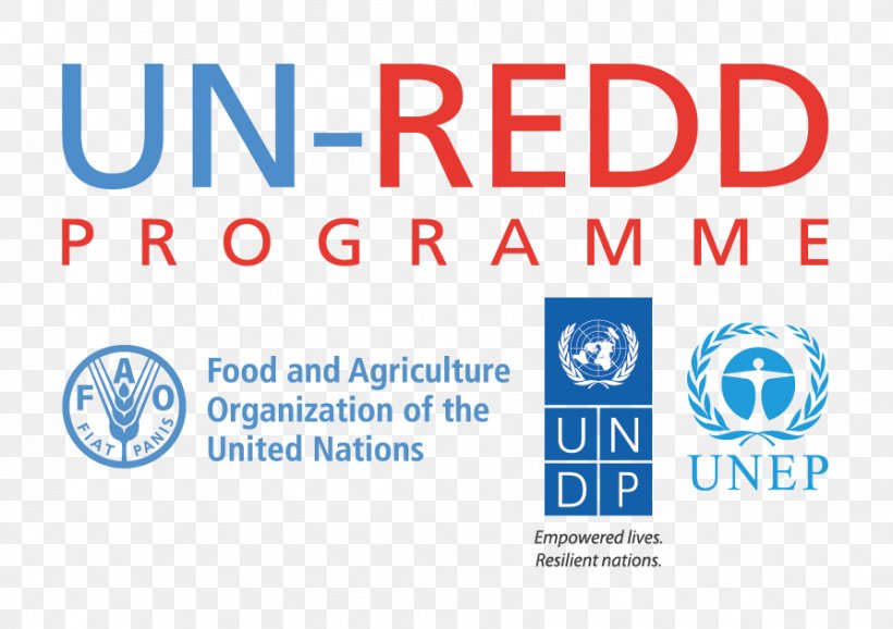 United Nations Framework Convention On Climate Change United Nations REDD Programme Reducing Emissions From Deforestation And Forest Degradation United Nations Development Programme, PNG, 894x631px, United Nations Redd Programme, Area, Blue, Brand, Climate Change Download Free