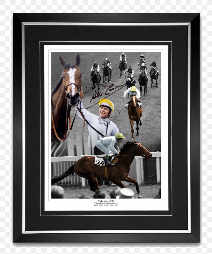 Jockey 2010 Grand National Queen Mother Champion Chase King George VI Chase Horse Racing, PNG, 1333x1600px, Jockey, Autograph, Bridle, Equestrian Sport, Grand National Download Free