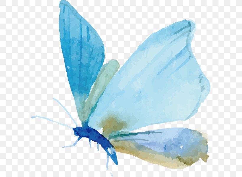 Butterfly Watercolor Painting Moth Euclidean Vector, PNG, 607x601px, Butterfly, Arthropod, Butterflies And Moths, Designer, Insect Download Free