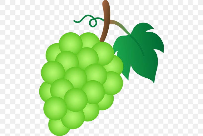 Common Grape Vine Grape Leaves Clip Art, PNG, 504x550px, Common Grape Vine, Food, Fruit, Grape, Grape Juice Download Free