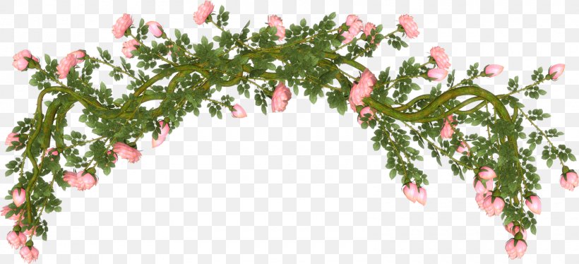 Cut Flowers Rose, PNG, 1600x731px, Flower, Blue, Branch, Cut Flowers, Floral Design Download Free
