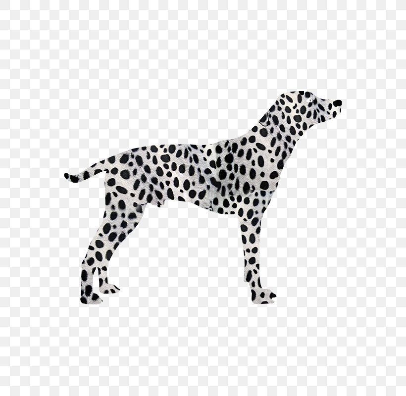 Dalmatian Dog Beneful Dog Breed Purina Dog Chow Complete Adult Dog Food, PNG, 800x800px, Dalmatian Dog, Animal, Animal Figure, Beneful, Big Cats Download Free