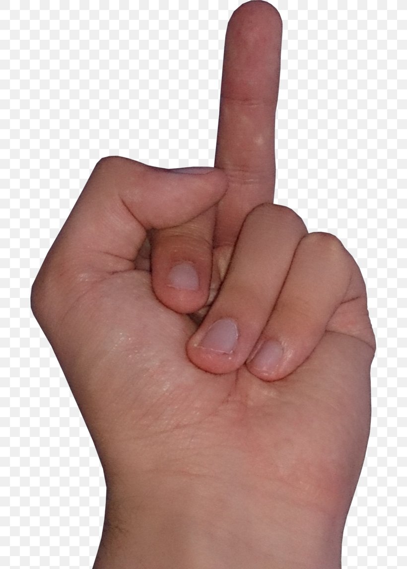 Middle Finger Hand Thumb Arm, PNG, 697x1146px, Finger, Arm, Hand, Hand Model, Joint Download Free