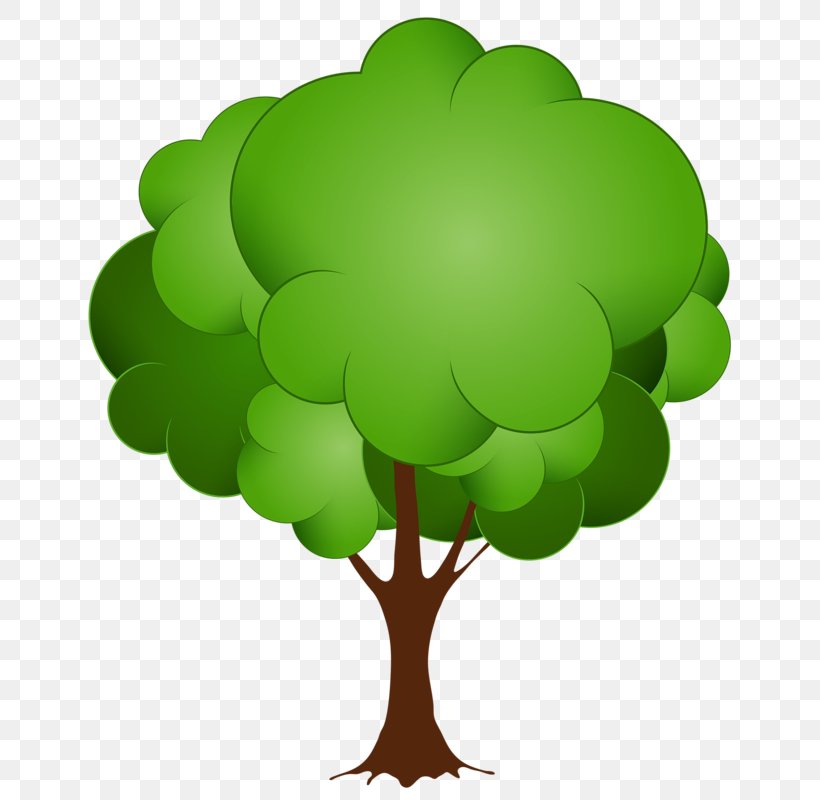 Tree Clip Art, PNG, 673x800px, Tree, Document, Green, Leaf, Plant Download Free