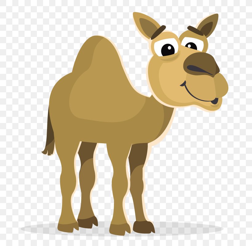Bactrian Camel Cartoon Clip Art, PNG, 800x800px, Bactrian Camel, Animation, Camel, Camel Like Mammal, Cartoon Download Free