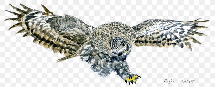 Bald Eagle Hawk Owl Buzzard Beak, PNG, 1200x489px, Bald Eagle, Accipitriformes, Animal, Animal Figure, Beak Download Free