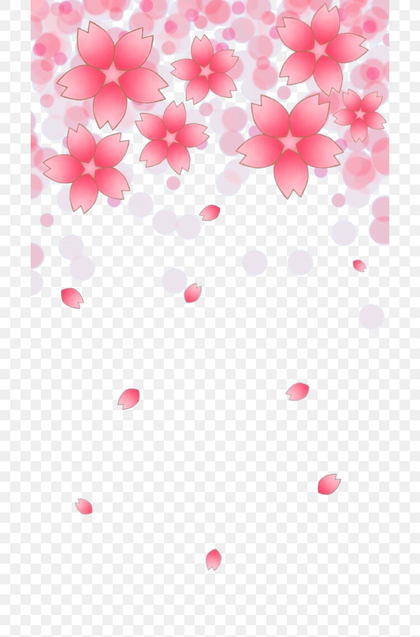 Cherry Blossom Petal Cerasus, PNG, 700x1243px, Cherry Blossom, Blossom, Cerasus, Cherry, Floral Design Download Free