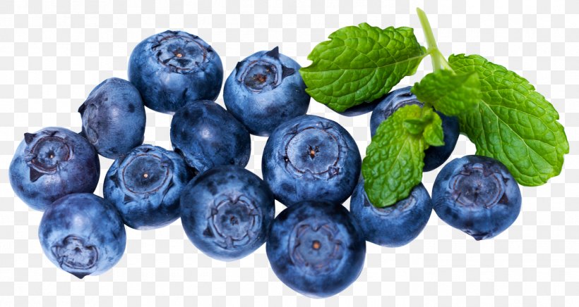 European Blueberry Juice Fruit, PNG, 1395x743px, Blueberry, Berry, Bilberry, Blackberry, Blueberry Tea Download Free